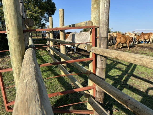 Commercial Property for Sale in Mossel Bay Rural Western Cape